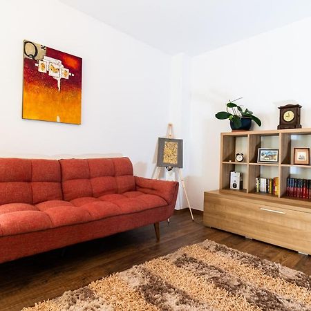 Nature Apartment - Minutes Away From The Old Town And Afi Mall ブラショフ エクステリア 写真