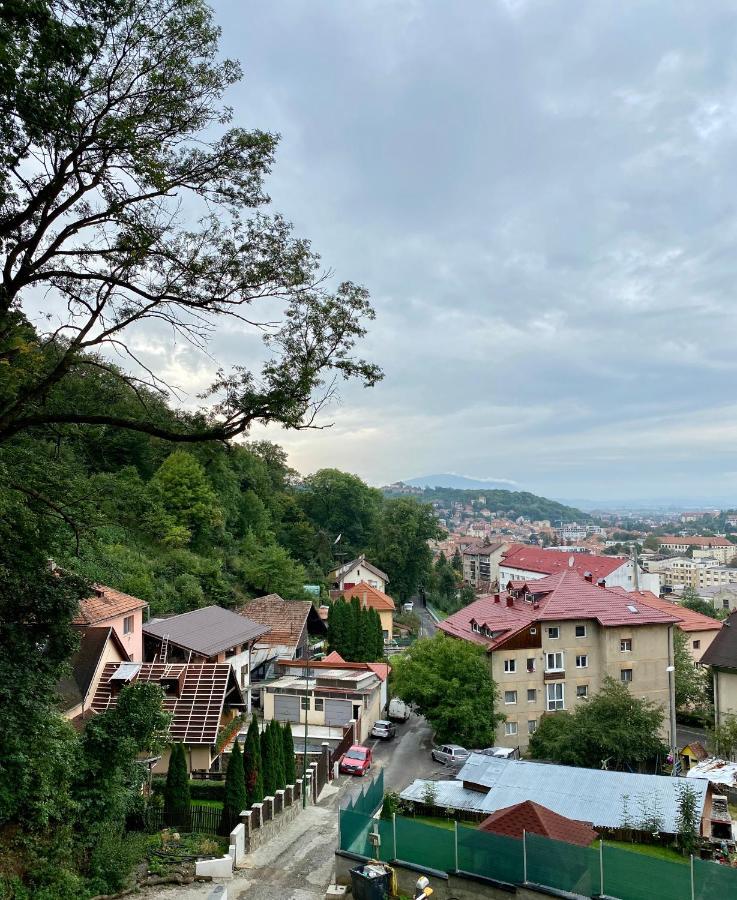 Nature Apartment - Minutes Away From The Old Town And Afi Mall ブラショフ エクステリア 写真