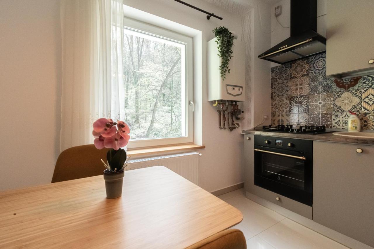 Nature Apartment - Minutes Away From The Old Town And Afi Mall ブラショフ エクステリア 写真