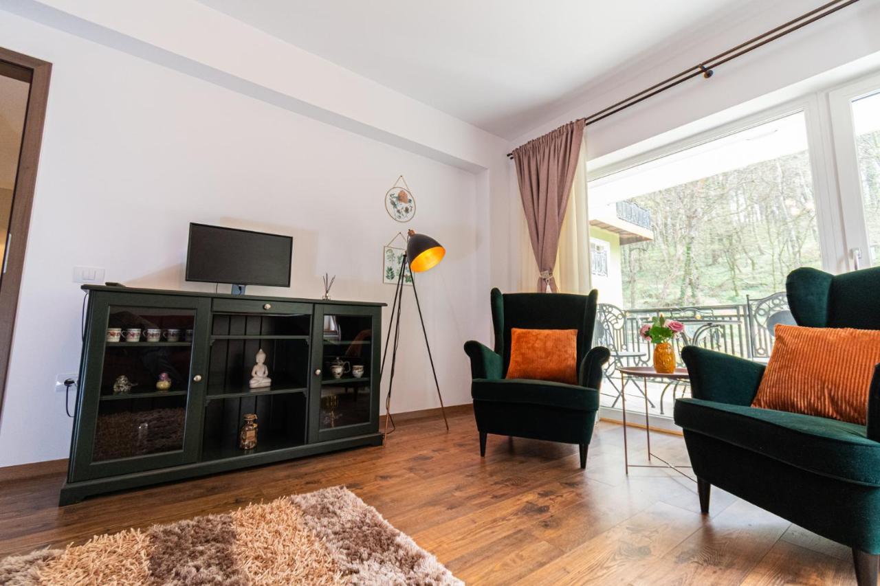 Nature Apartment - Minutes Away From The Old Town And Afi Mall ブラショフ エクステリア 写真